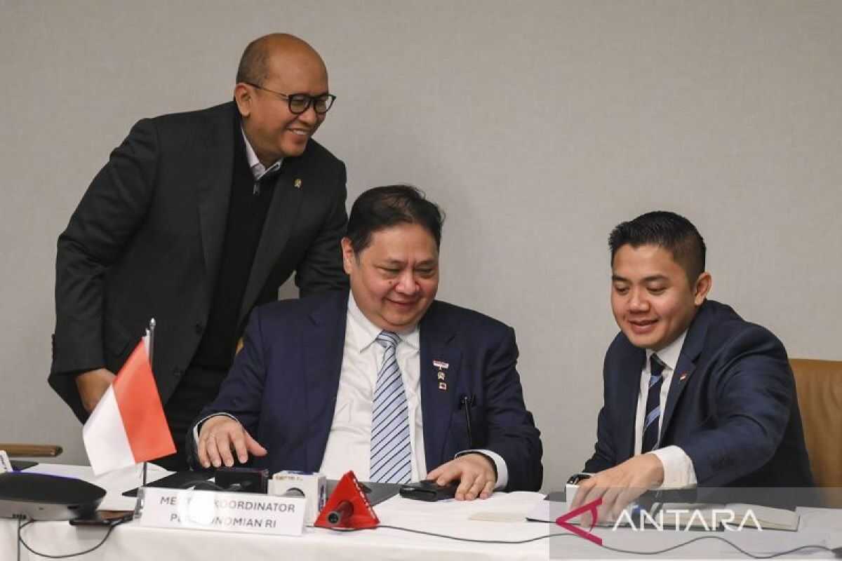 Rosan: Freeport to Invest US$20 Billion for IUPK Extension