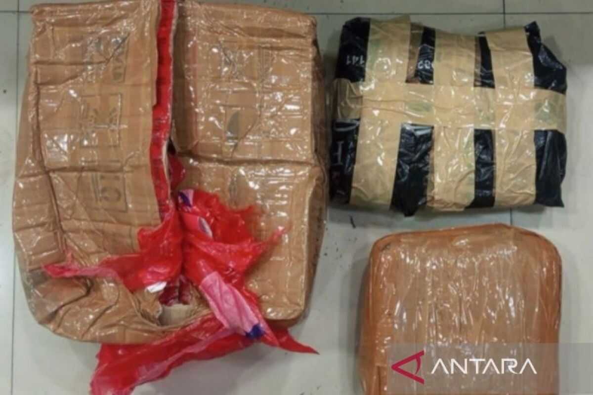 Jakarta Metropolitan Police Arrest Marijuana Dealer with 1.3 kg in Bekasi