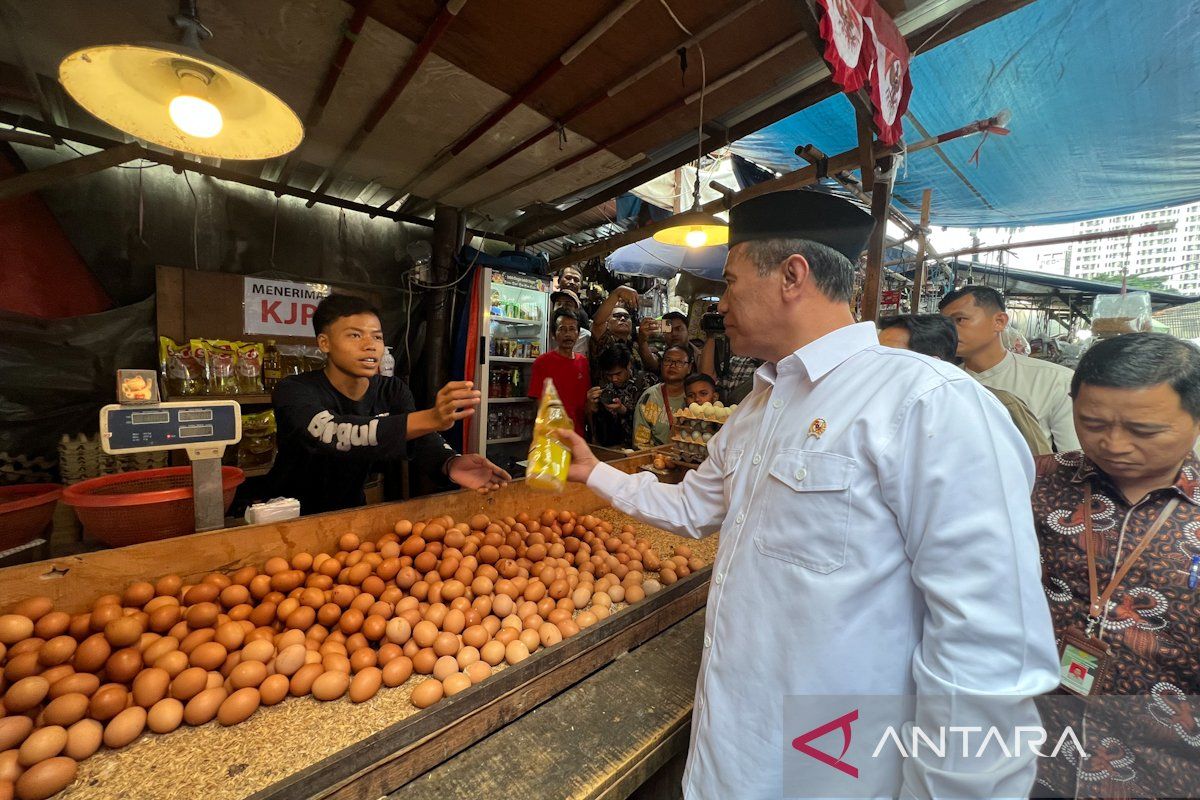 Agriculture Minister Amran Conducts Surprise Inspection at Kebayoran Market After Reports of Rising Chicken Prices