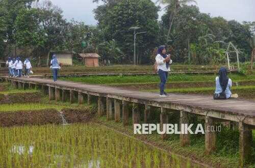 From Papua to Aceh: Regions Race to Develop Rice Paddies for Food Self-Sufficiency