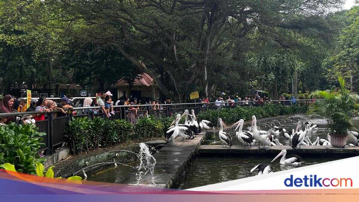 Take Note: Ragunan Zoo Opening Hours During Ramadan 2026