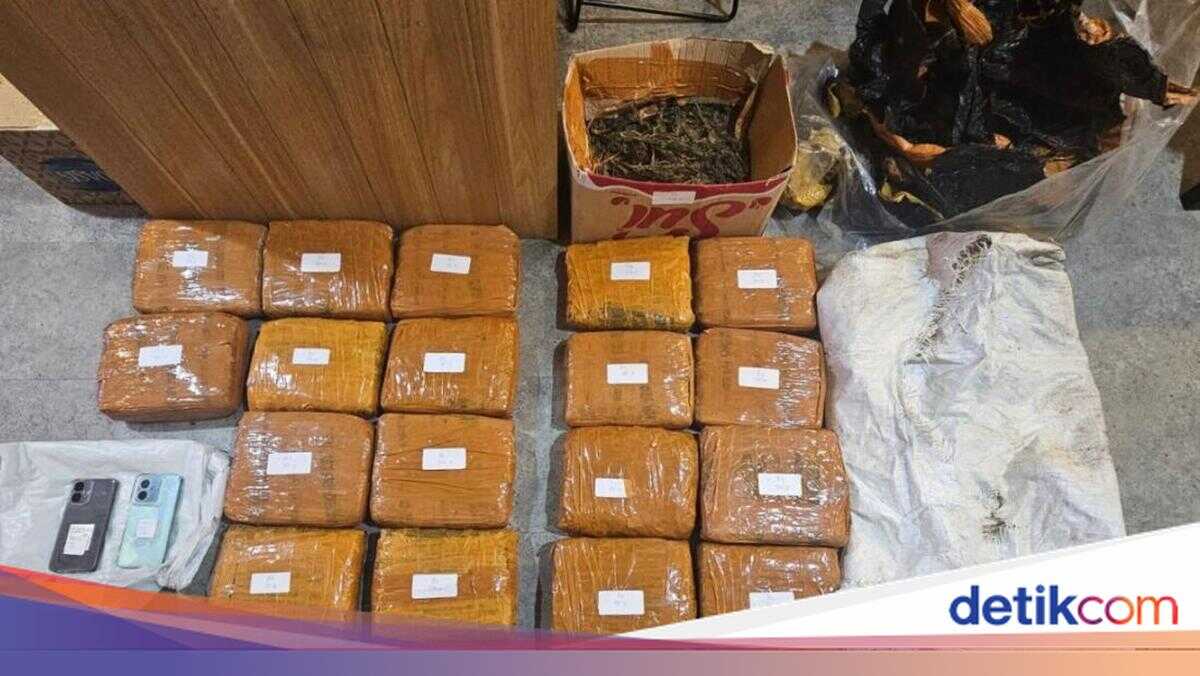 Police Arrest Drug Dealer in West Jakarta, 18 Kg of Cannabis Seized