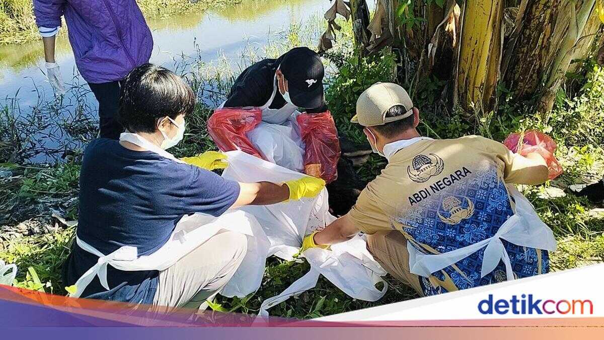 Two Young Siblings Mauled by Wild Dogs in Polewali Mandar, Rescuer Initially Mistook Children for Carcass