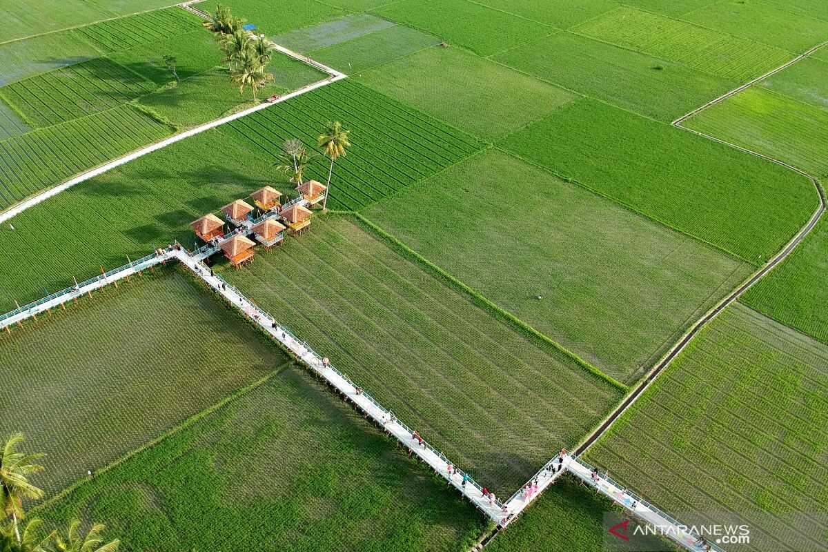 Food Self-Sufficiency Through the Eyes of Satellites