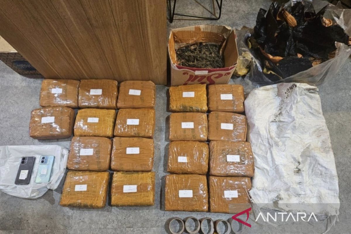Jakarta Metropolitan Police Foil Distribution of 18 kg of Cannabis in West Jakarta