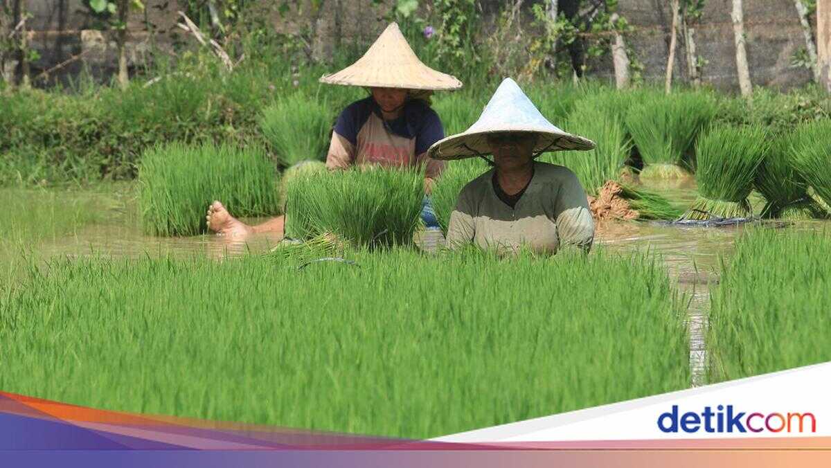 New Barriers to Agricultural Trade