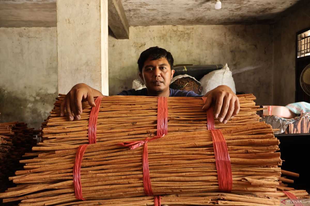Cinnamon from disaster-hit area in Agam reaches European market