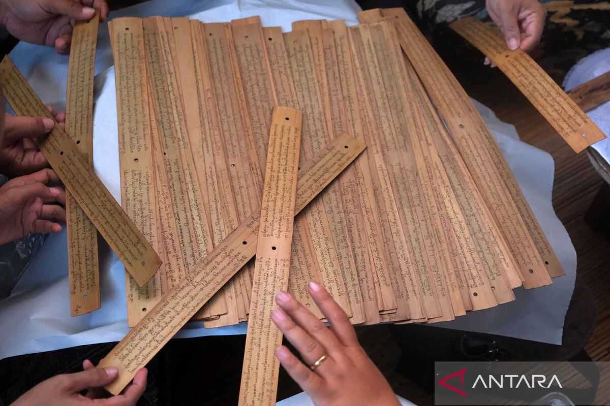 Balinese Language Counsellors Conserve Ancient Manuscripts on Lontar Palm Leaves