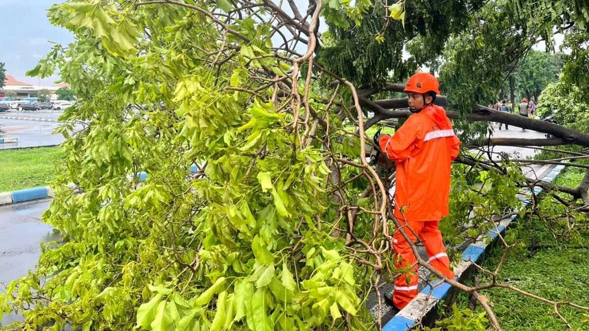 Extreme Weather: Nganjuk Residents Urged Not to Shelter Under Large Trees