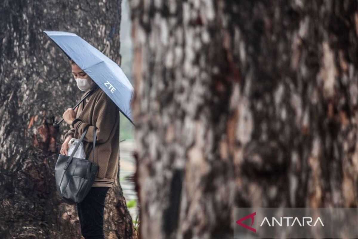 BMKG: Indonesian Skies Dominated by Light Rain and Thunderstorms on Monday