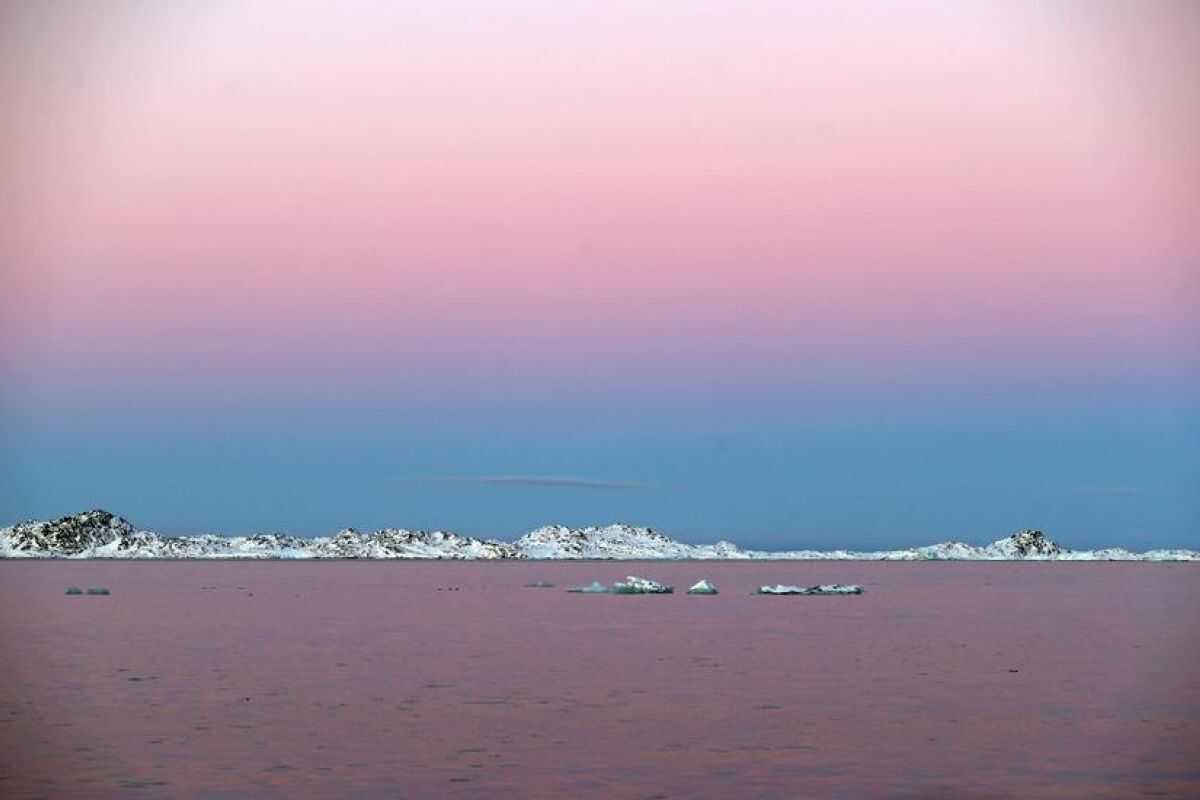Greenland Leader Rejects Trump's Idea to Send US Hospital Ship