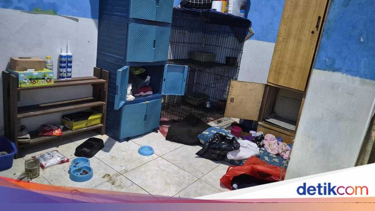 Surabaya Toddler Fed Cat Food and Abused by Uncle and Aunt
