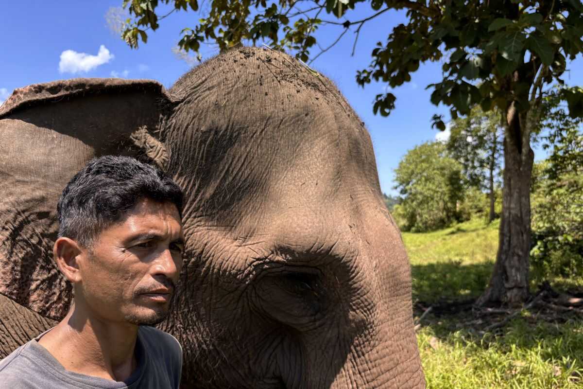Landslides alter elephant habitat in Aceh river basin
