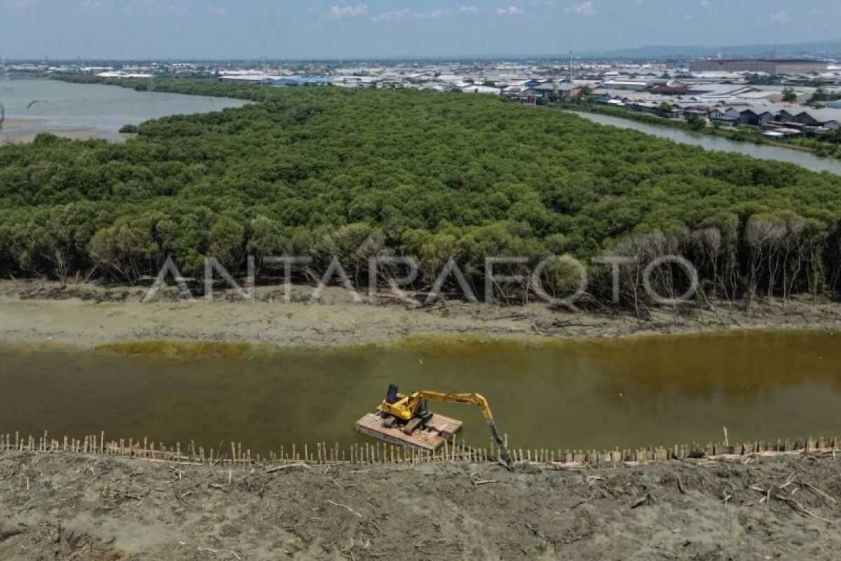 Ministry of Marine Affairs Targets Blue Carbon Projects to Enter Trading Market by 2027