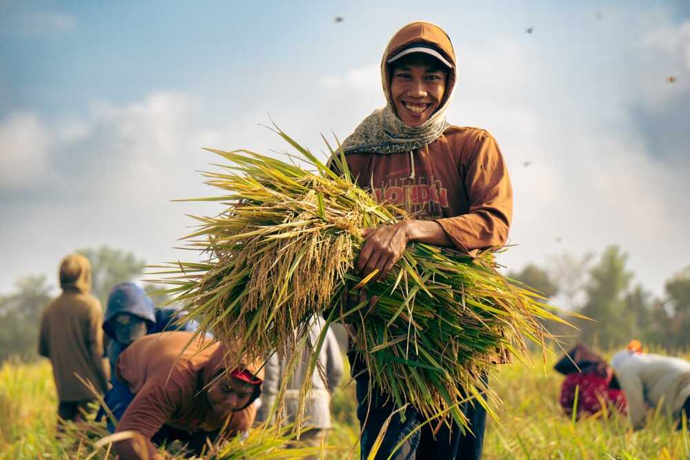 Deputy Minister Sudaryono Emphasises Role of Youth in Achieving Indonesia's Food Self-Sufficiency