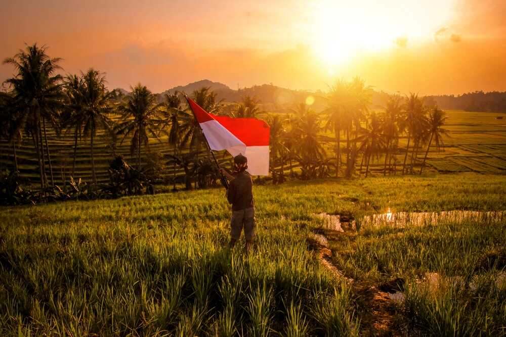 Indonesia Plans 3 Million Hectares of Rice Fields to Boost Food Security