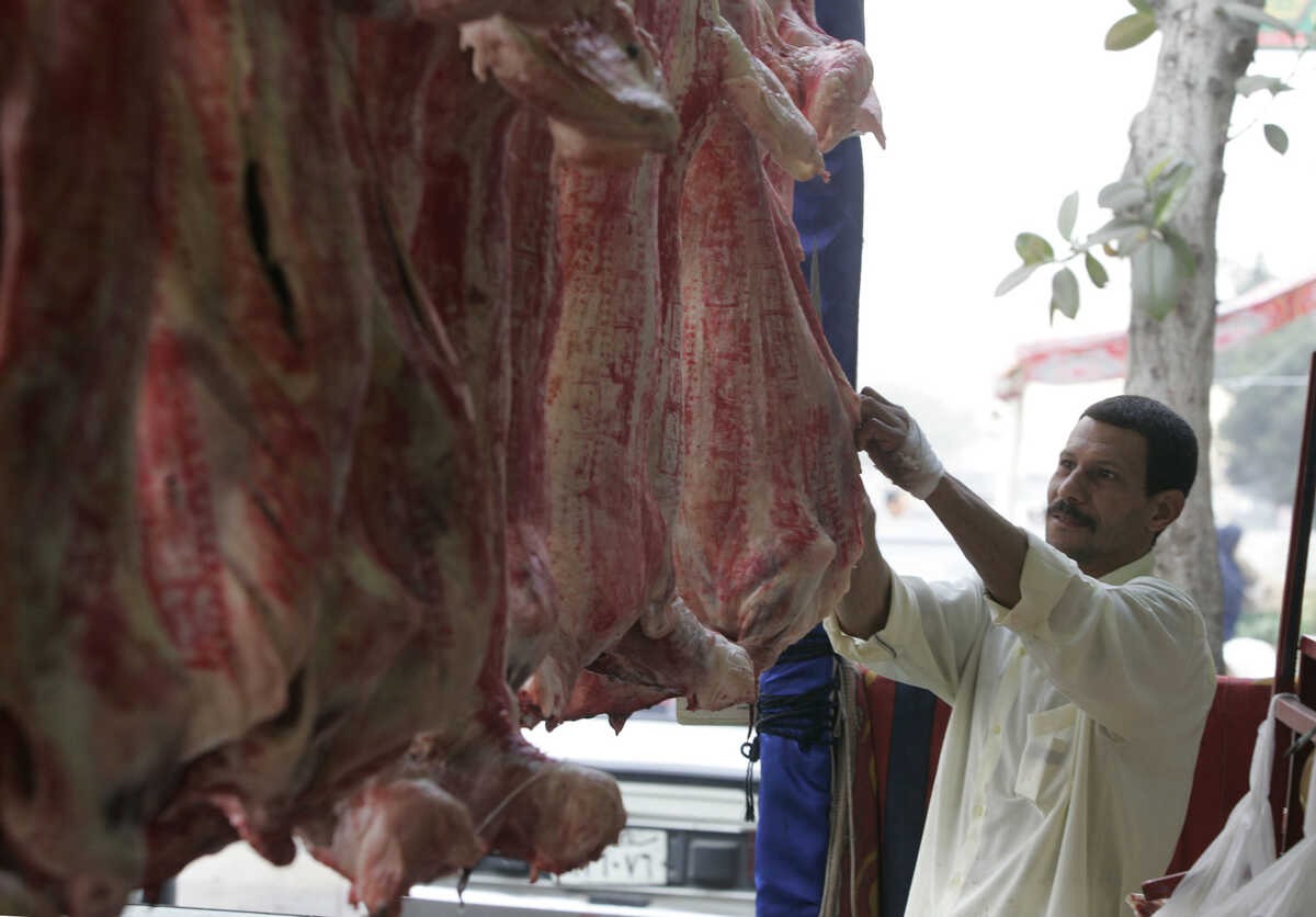 Indonesia to Receive and Distribute Sacrificial Meat from 2024 Hajj Pilgrims