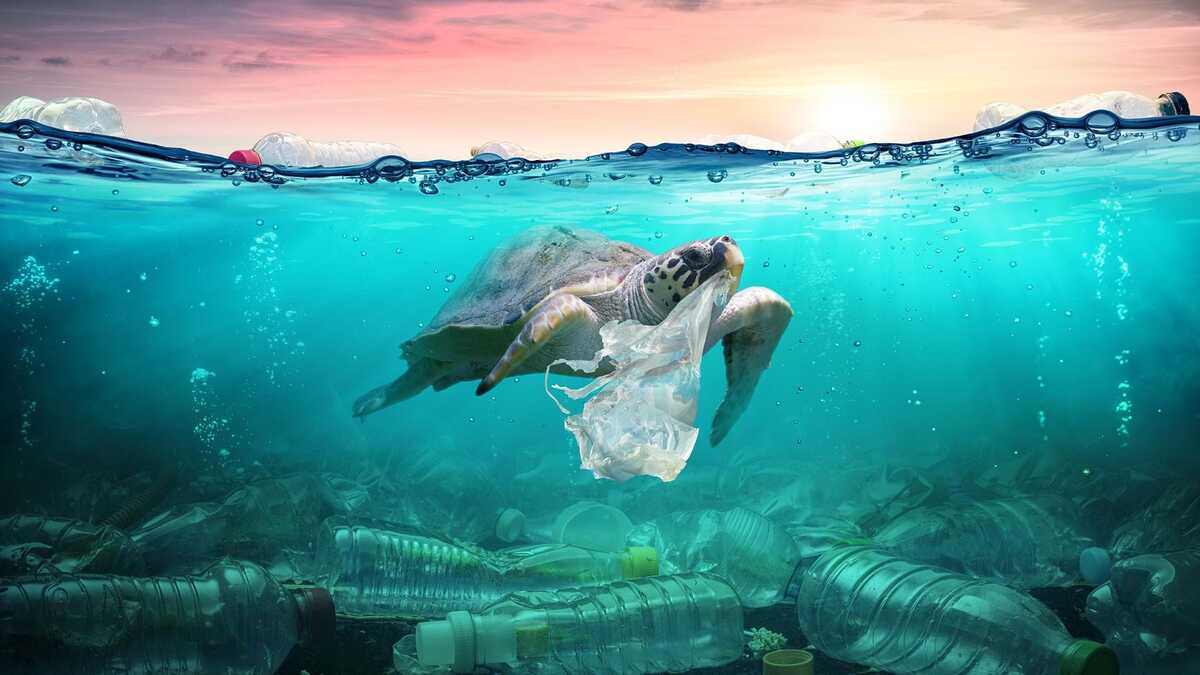 Indonesia and UAE Join Forces to Combat Plastic Pollution