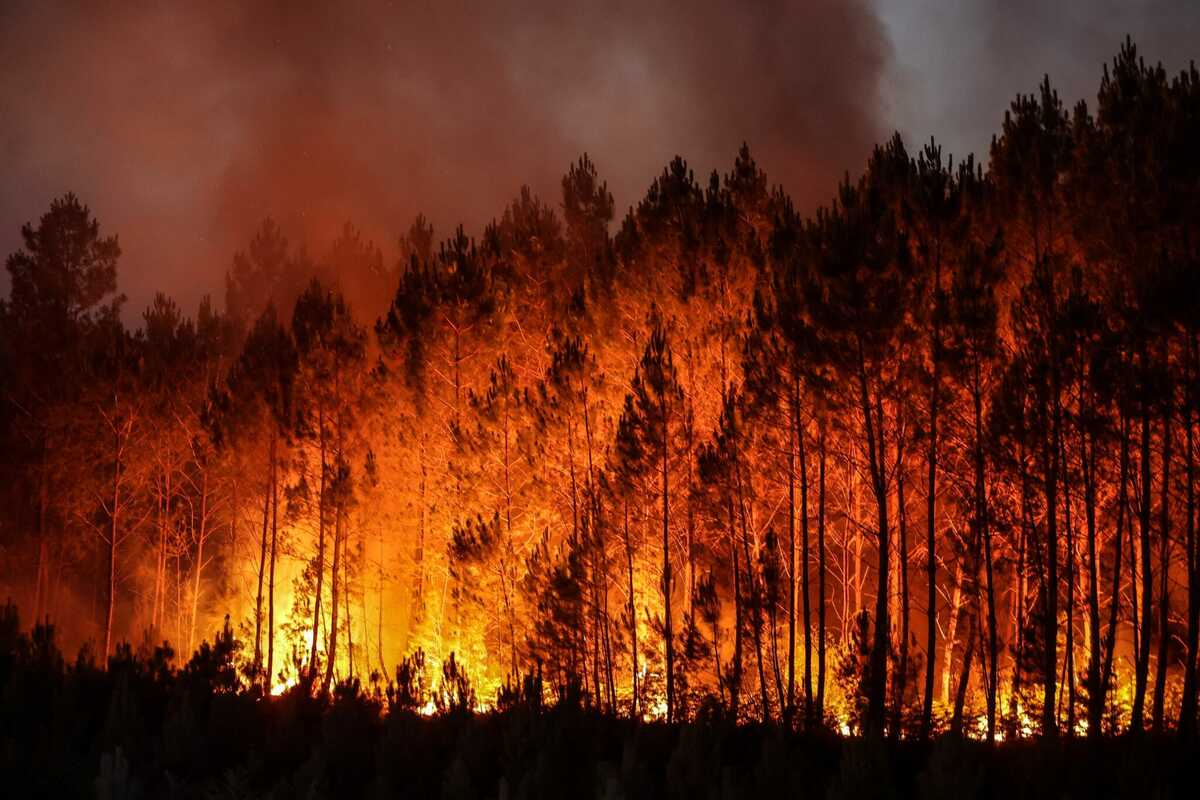 East Kalimantan Battles Escalating Wildfire Crisis as Hotspots Surge