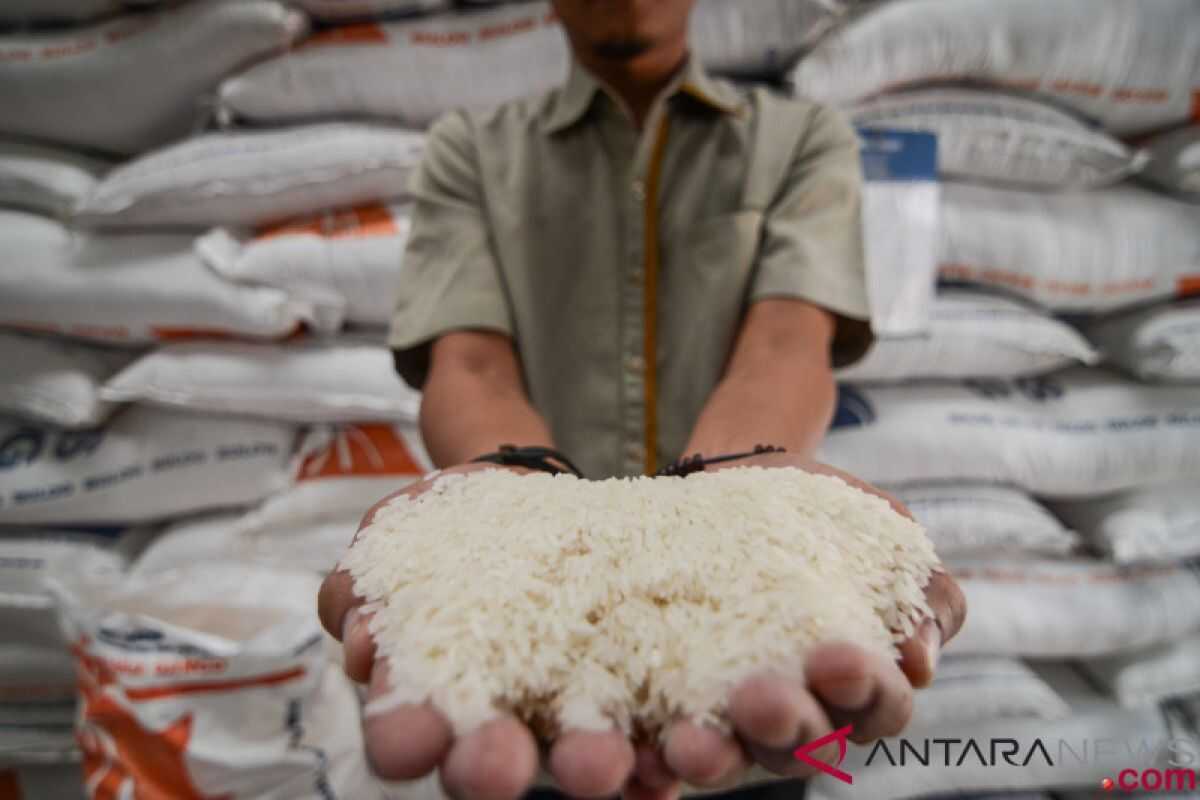 Indonesia targets Saudi retail market after Hajj rice export success