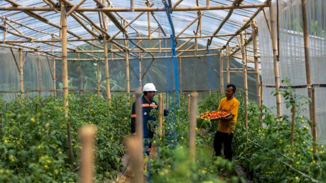 Garitan Kalongliud: ANTAM's Circular Agriculture Transformation for Village Food Security