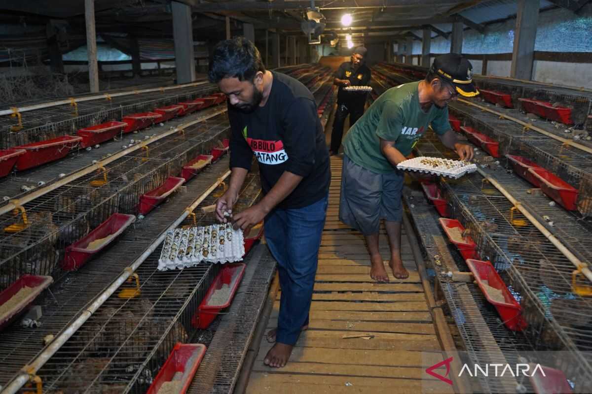 BGN: Raw Materials for Free Nutritious Meal Kitchens Must Not Be Dominated by a Single Supplier