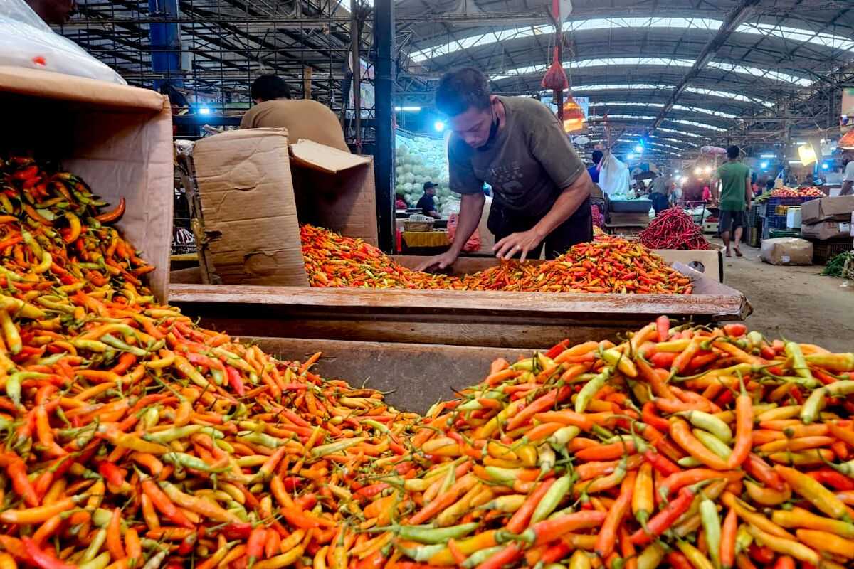 Ministry of Agriculture supplies 1.7 tonnes of red cayenne pepper to Kramat Jati Central Market