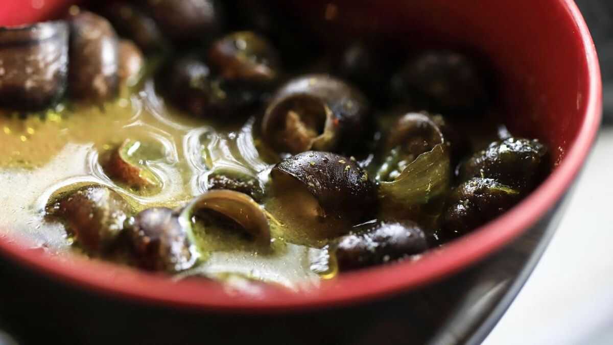 Police Arrest Young Man for Distributing Methamphetamine Using Snail Shells in Lembang