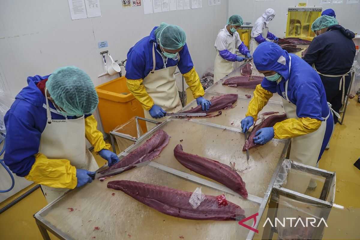 Indonesia Secures Export Access to Türkiye and China