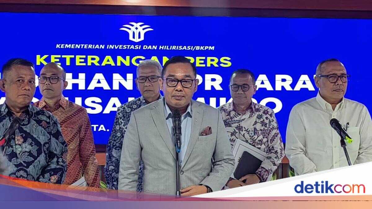 40 Million MSMEs Without Business Identification Numbers; Government to Streamline Licensing Process