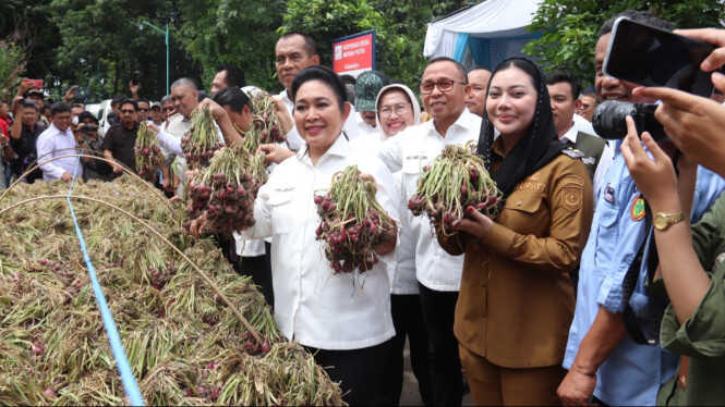 Profits of Rp350 Million Per Hectare: Titiek Soeharto Says Brebes Shallot Exports Could Serve as a National Role Model