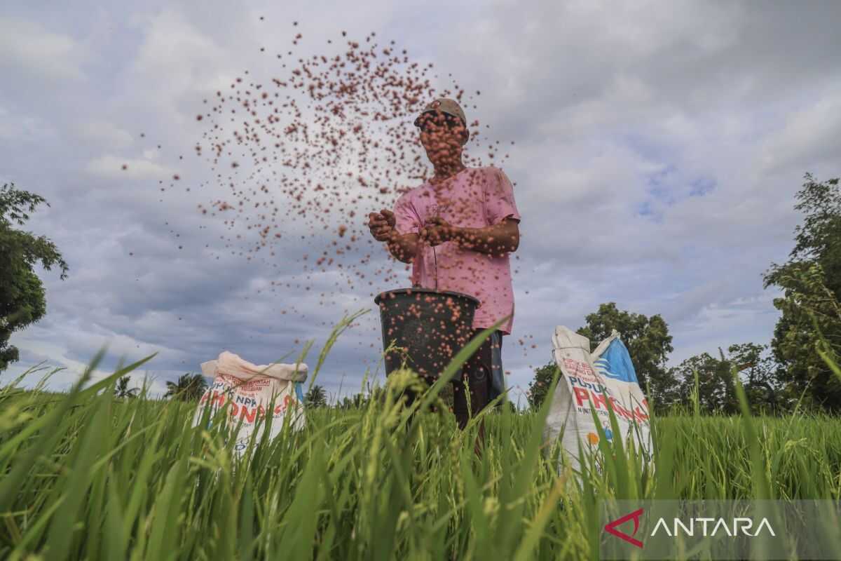 Ministry of Agriculture Prepares Implementing Regulations for Subsidised Fertiliser Management