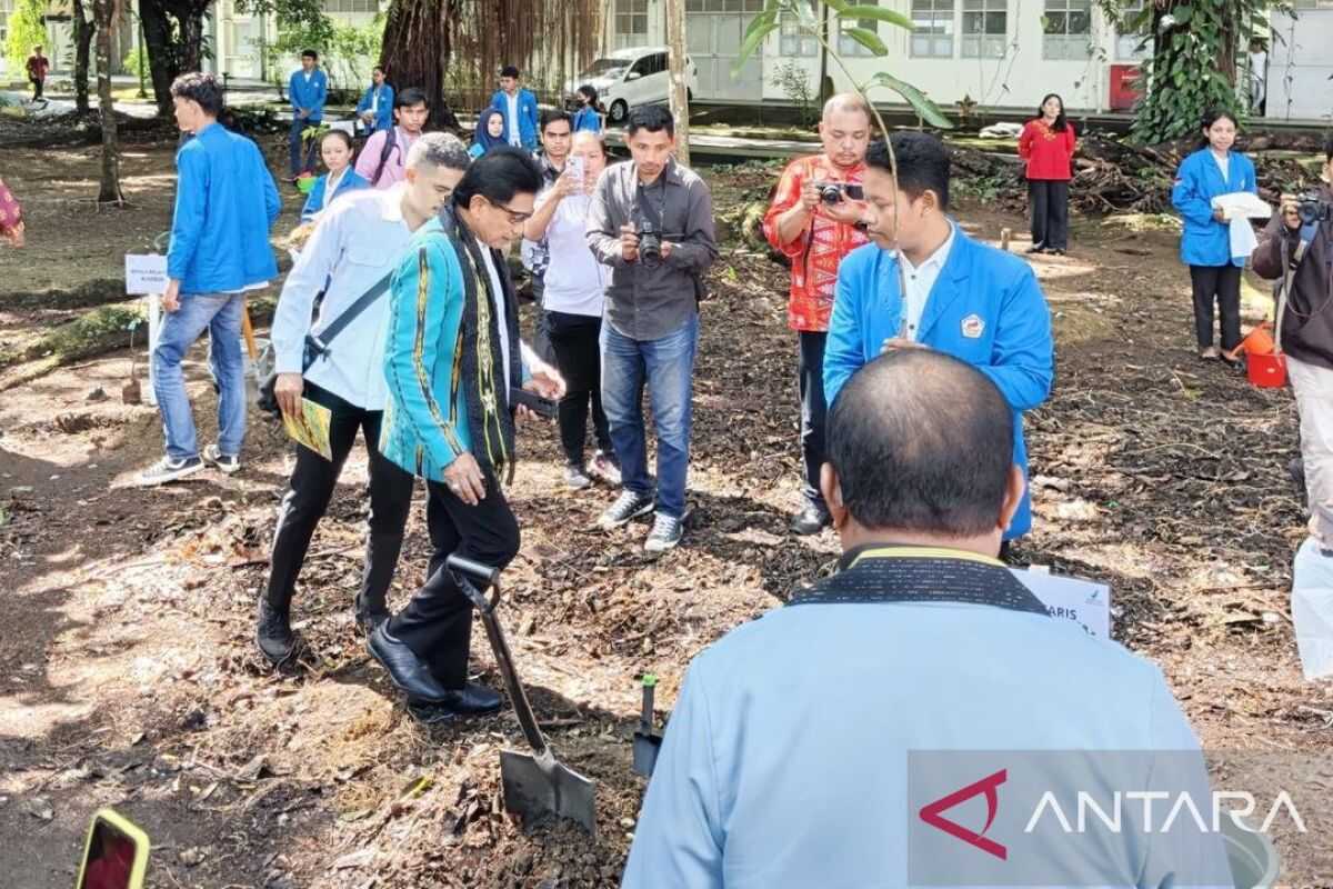 Unpatti plants 500 tree seedlings to preserve the environment