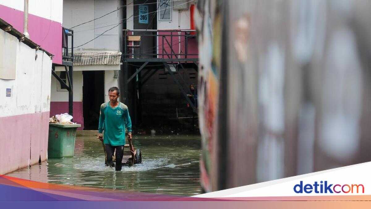 Jakarta Disaster Management Agency Urges Coastal Residents to be Wary of Tidal Flooding from 25 February to 1 March