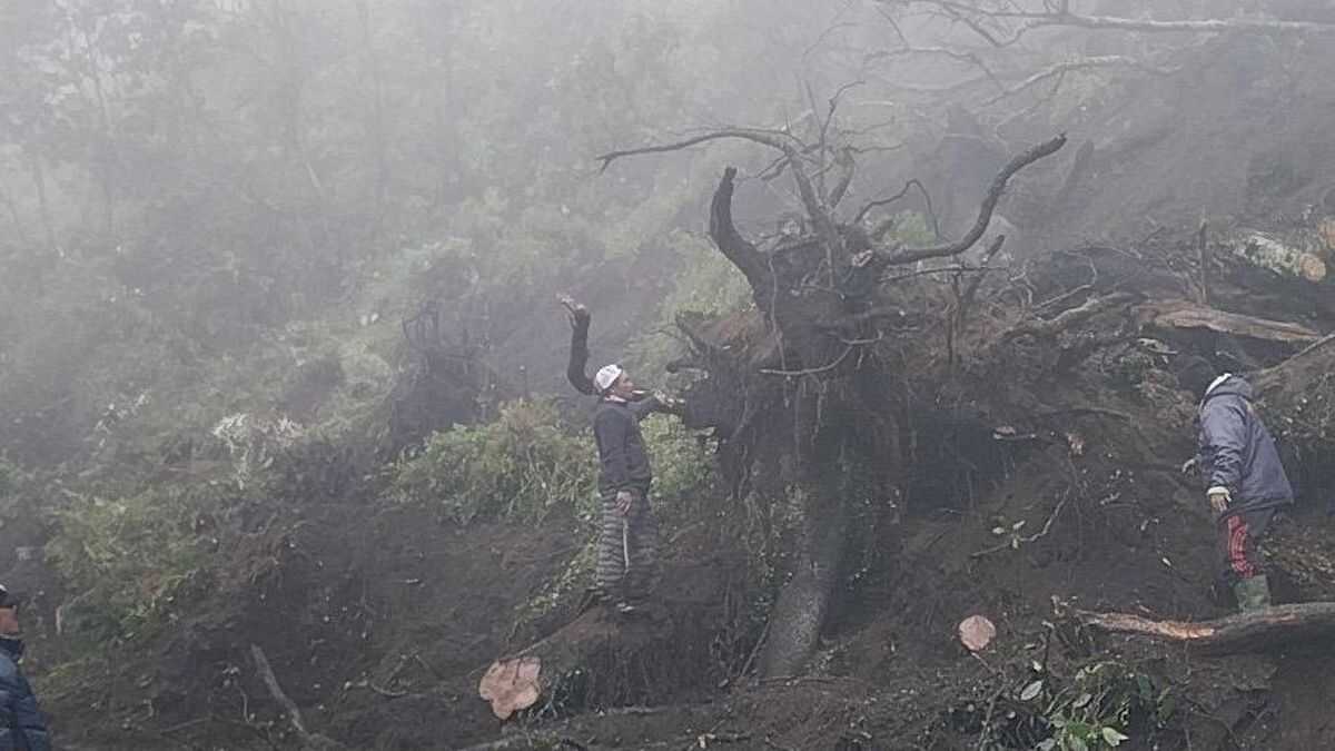 Landslide in Bromo Area, Several Vehicles Buried