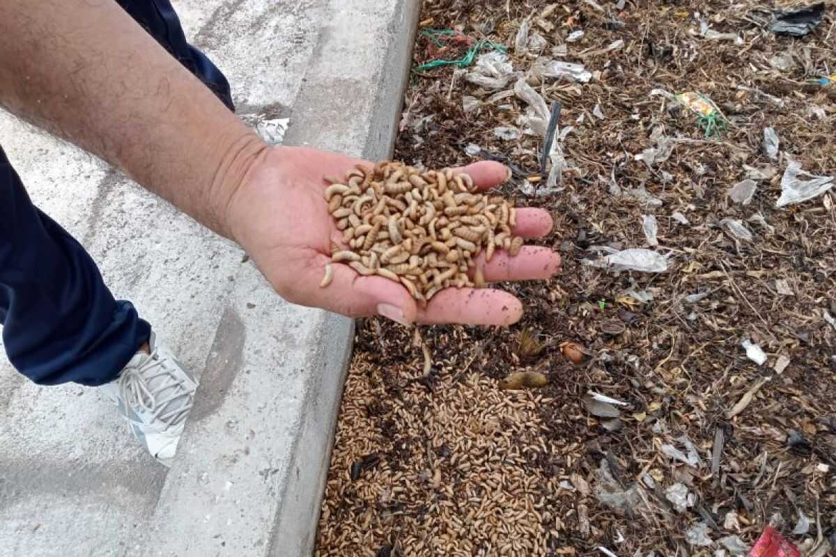 Food ethics in the midst of climate crisis