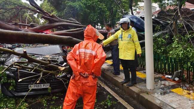 BMKG Warns of Strong Winds Lashing Jakarta Following Heavy Rainfall