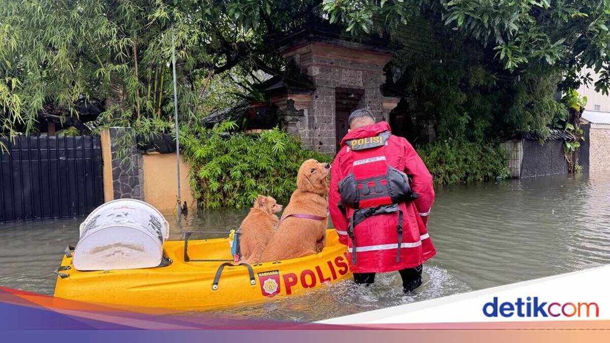 BPBD Update: 126 disaster sites in Bali following four days of heavy rain