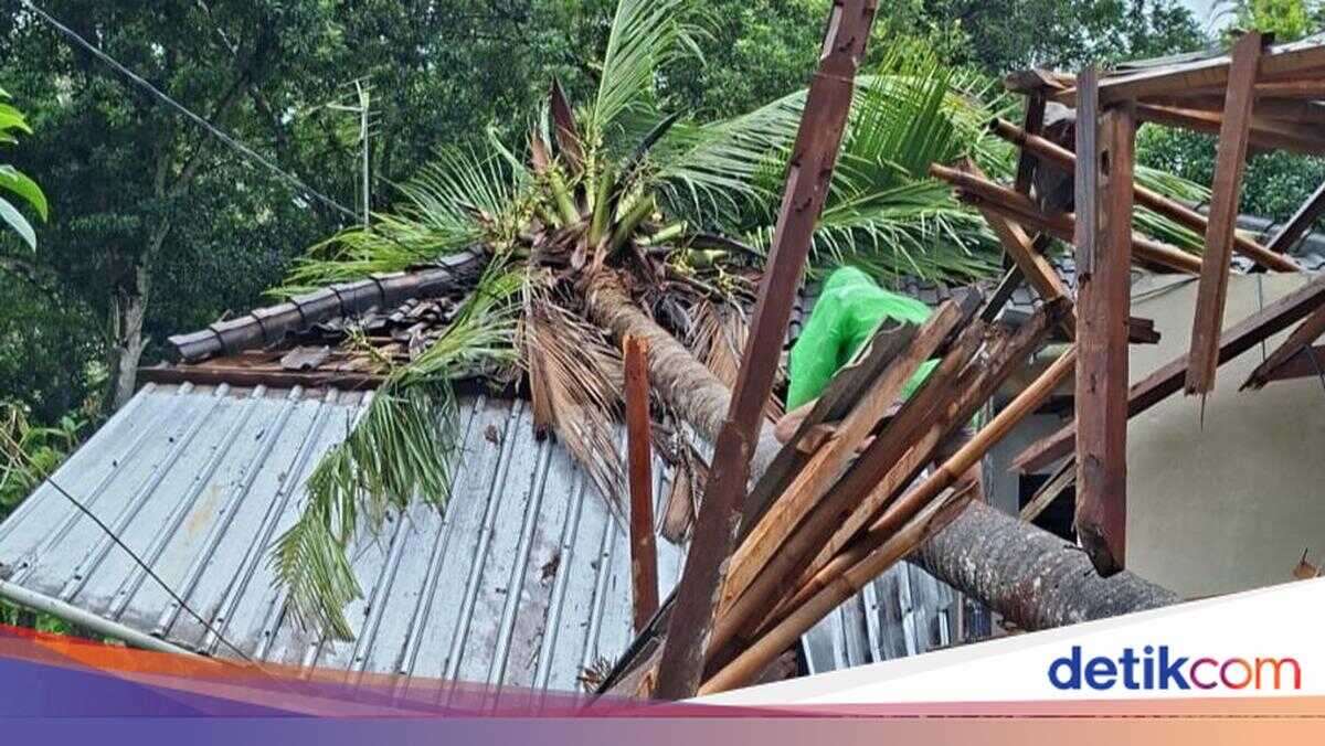 Extreme Weather: Landslides and Fallen Trees Hit Karangasem