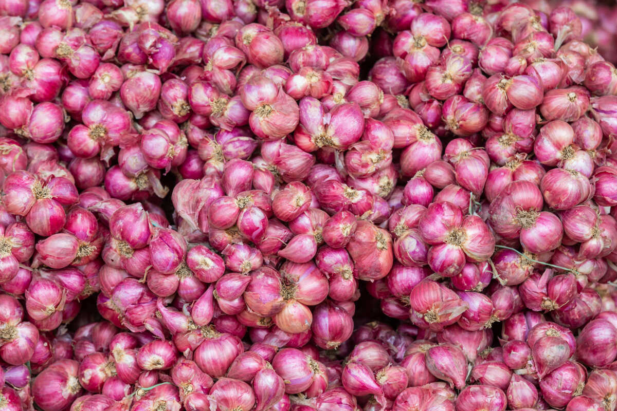 12 Health Benefits of Red Onions, Including Controlling Blood Sugar