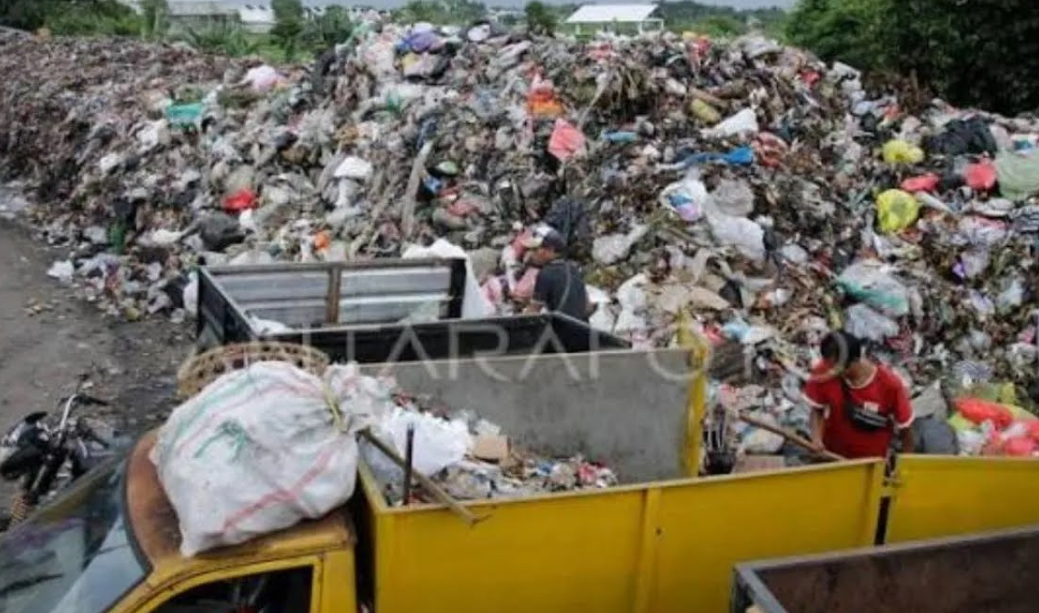 Saving Landfills: Organic Waste Management as a Realistic Solution