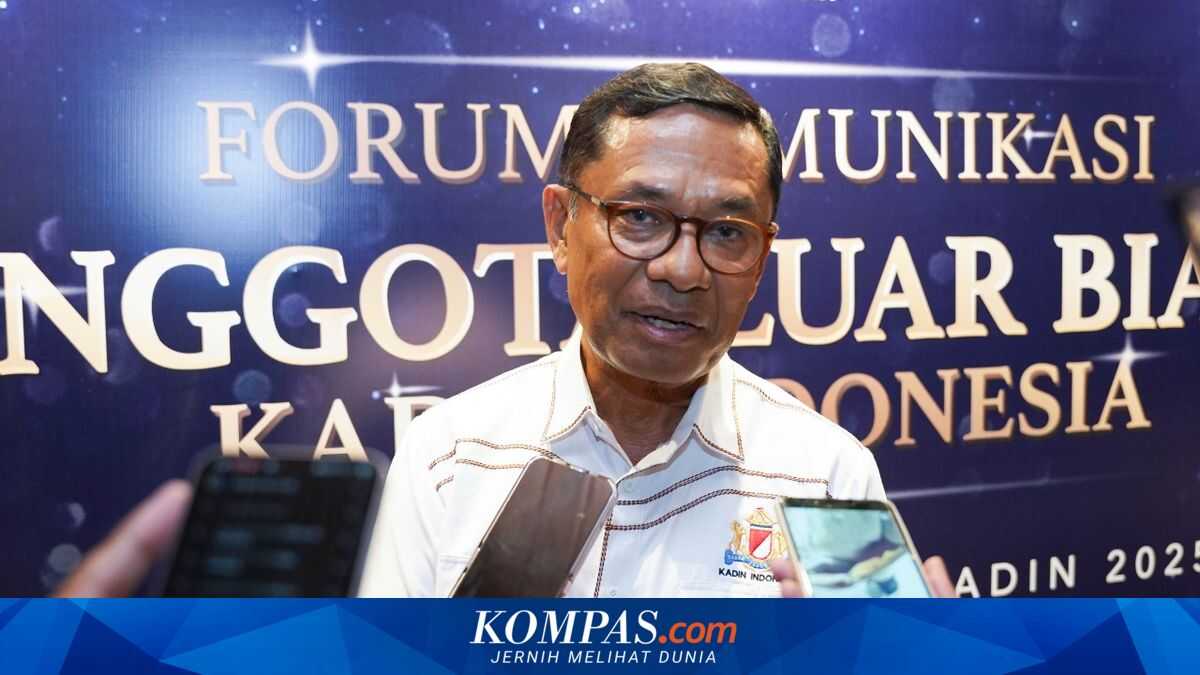 Do Vehicle Imports from India Threaten the Local Industry?