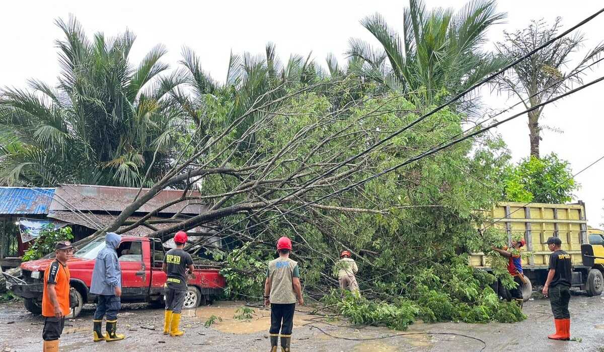 Extreme Weather: Floods and Fallen Trees Hit Banjar Regency