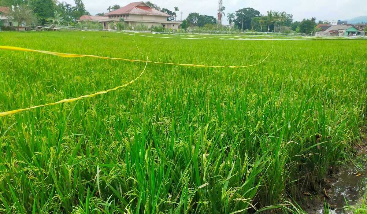 500 Hectares of Productive Land Converted into Housing Each Year