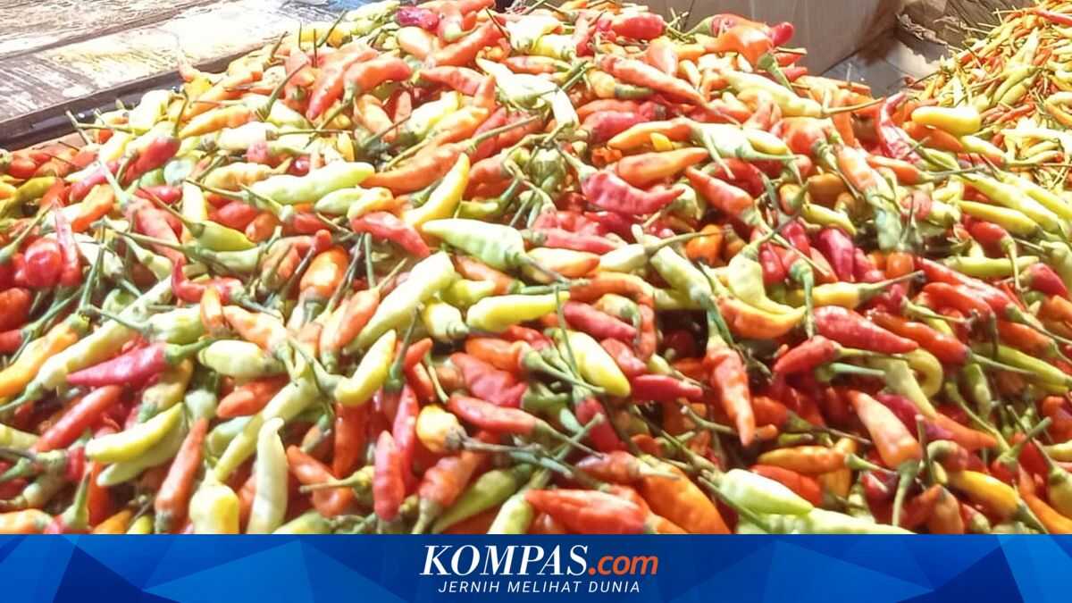 Government Has Supplied 10.9 Tonnes of Chillies to Kramat Jati Central Market