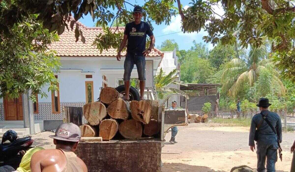 Illegal Logging Syndicate in Baluran National Park to Face Trial