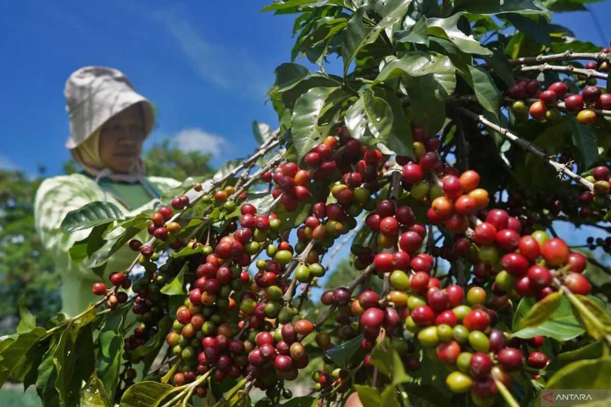 Indonesia confident zero US tariffs will hold: expert