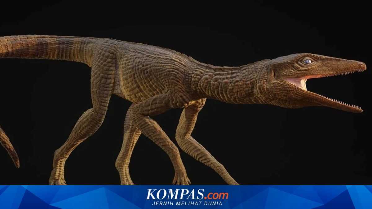 Fossil of Long-Legged Crocodile Species That Lived 200 Million Years Ago Discovered