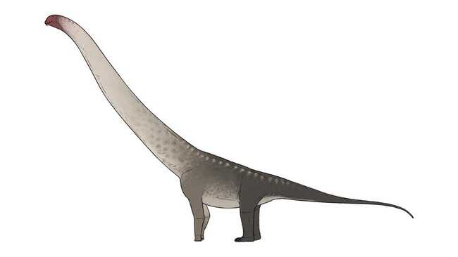 Creature Longer Than a Commuter Train Emerges in Chinese Construction Site