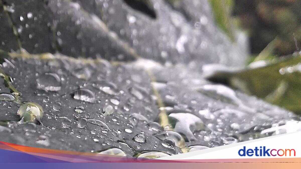 Weather Forecast for Yogyakarta Today: Rainfall to Decrease